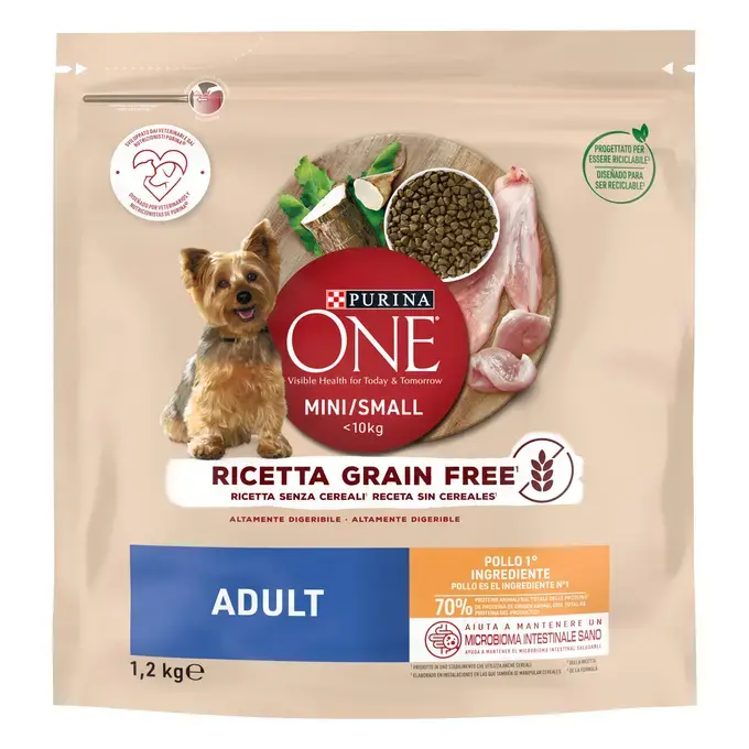 Grain free best sale